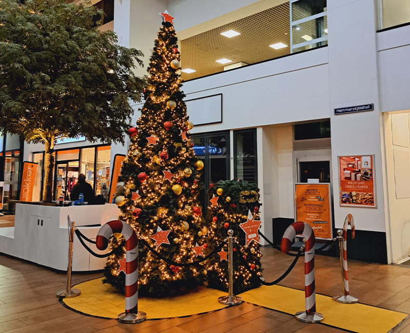 Foto_collage_winter-entertainment_9