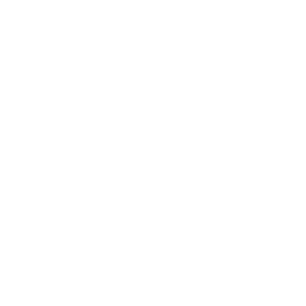 Sneeuwvlok-Winterentertainment-1
