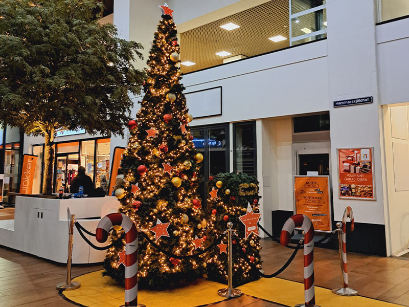 Kerstwensenboom_Winter-Entertainment